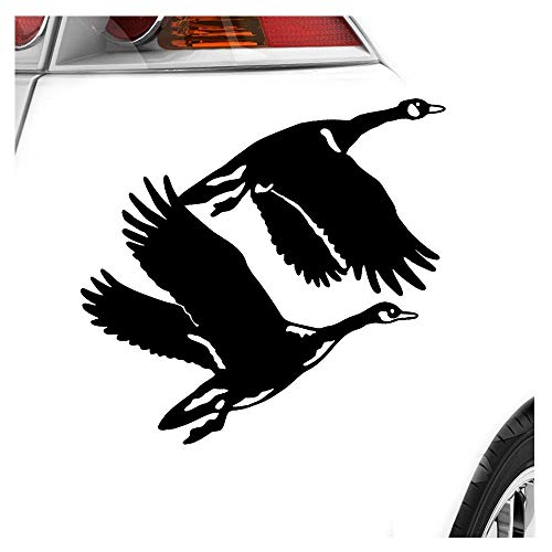 hauptsachebeklebt Kiwistar - Autoaufkleber - Enten - Flugenten - Duck Heckscheibe Auto Aufkleber wetterfest für Kfz LKW Mofa Truck - Sticker außen selbstklebend Tuning Zubehör für Fenster Fahrzeug von hauptsachebeklebt