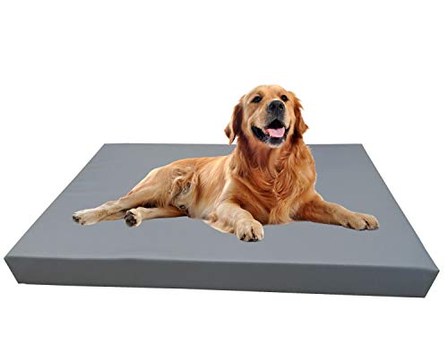 Barry & Lucy Hundelager Hundematte Hunde Matratze Hundeschlafmatte Hundebett Hundekissen Hundeplatz Kunstleder viele Farben (125x100x10, Silber) von Generic