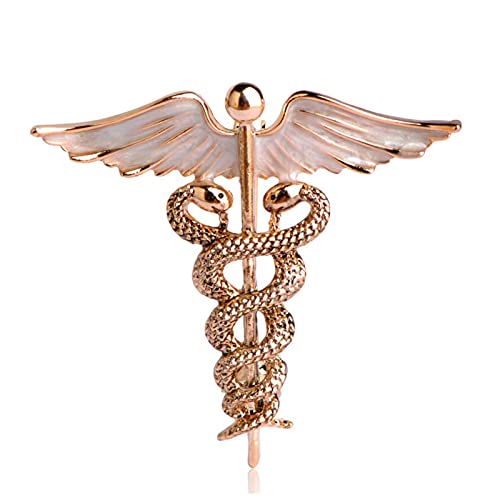 hcma Krankenschwester Tagesgeschenk Doppel Schlangenform Caduceus Medical Pin Abzeichen Engelsflügel Krankenschwester Vintage Brosche von hcma