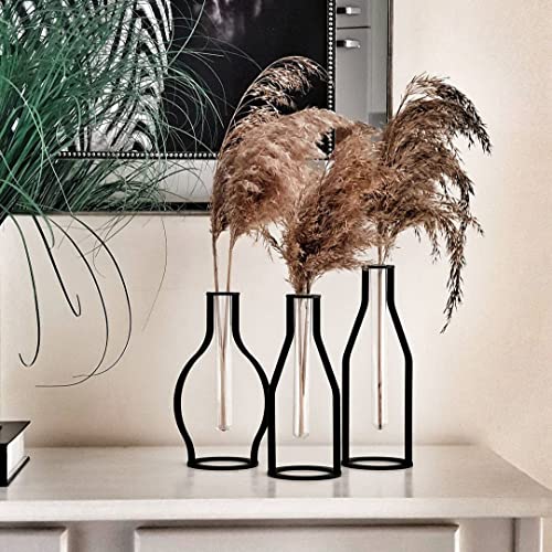 Generisch MB Living Metall Glasvase 3er Set, Vase für Pampasgras, Metallrahmen, schwarz, Tischdeko, Glasvase, moderne Vintage-Blumenvase, Dekoration für Wohnzimmer, Schlafzimmer oder Küche von Generisch