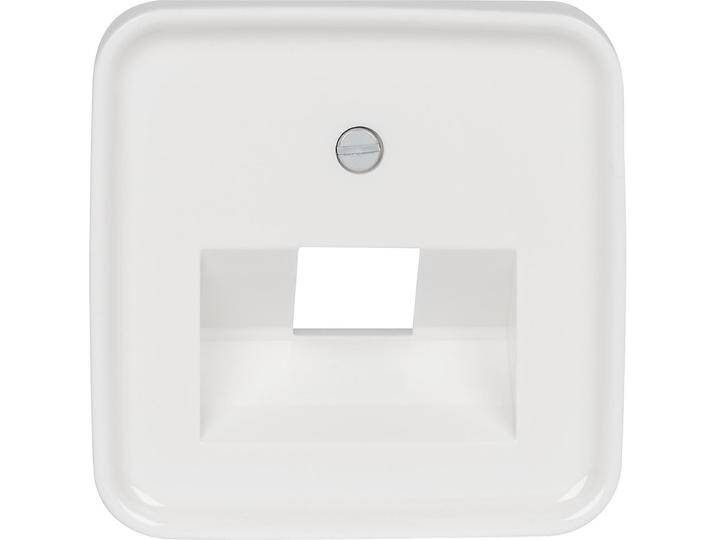 Zentralplatte Busch-Jaeger UAE/IAE 1-fach . Reflex SI 1803-214 von heima24
