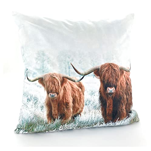 heimtexland ® Dekokissen Bezug Winter Tiere Foto Digitaldruck Kuschelige Velour Kissenhülle 40x40 Deko Kissen Typ831 Büffel von heimtexland
