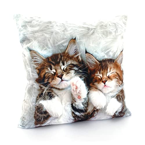 heimtexland ® Dekokissen Bezug Winter Tiere Foto Digitaldruck Kuschelige Velour Kissenhülle 40x40 Deko Kissen Typ831 Katzen von heimtexland