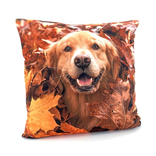 heimtexland ® Dekokissen Bezug Winter Tiere Foto Digitaldruck Kuschelige Velour Kissenhülle 40x40 Deko Kissen Typ831 Retriever von heimtexland