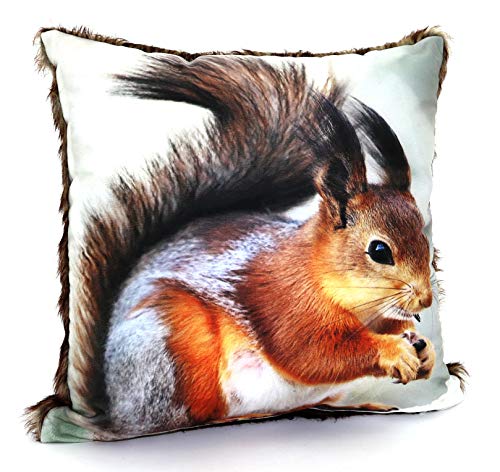 heimtexland ® Kissenhülle Eichhörnchen 40x40 cm mit Fell - hochauflösender Digital-Fotodruck auf samtig weichem Velour Kissen Hüttenstil Waldtiere Dekokissen Typ587 von heimtexland