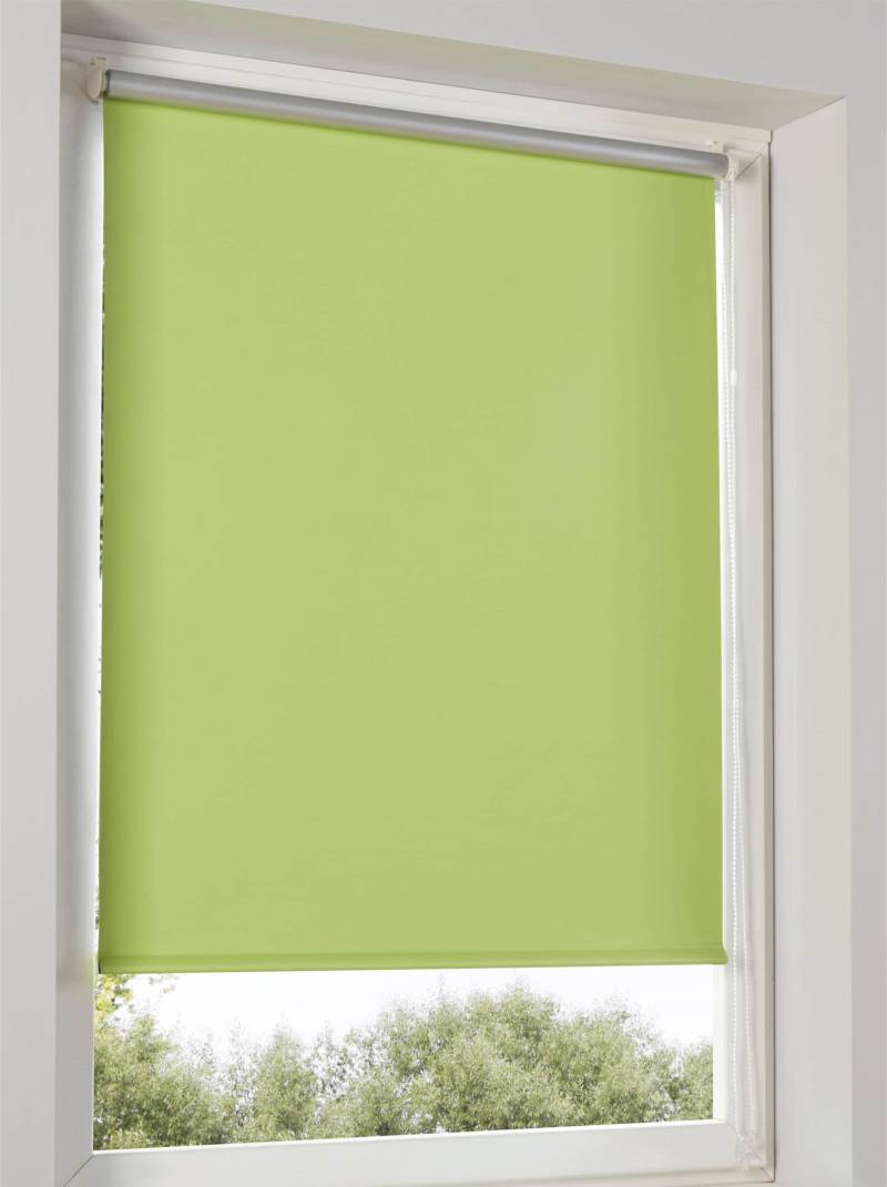 Rollo von heine home