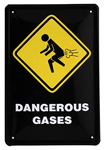 Blechschild Dangerous Gases - Metallschild Warnschild Pupsen - Retro Deko Schild Bad Toilette WC Klo Arbeit Betrieb - Geschenk lustige Badezimmer Dekoration - Achtung Blähungen Hinweis - 20x30cm von helges-shop