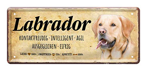 Blechschild Labrador - Deko Metallschild Hunderasse Wesen Charakter - Labrador Retriever Hund Zubehör - Geschenk Labrador Hunde Besitzer Züchter Liebhaber - Dekoration Hundehütte Körbchen - 28x12cm von helges-shop