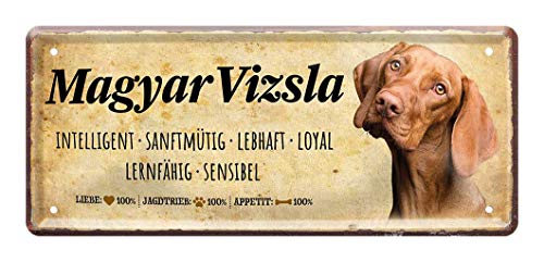Blechschild Magyar Vizsla - Deko Metallschild Hunderasse Wesen Charakter - Hunde Zubehör - Geschenk kurzhaariger Ungarischer Vorstehhund Besitzer Züchter Liebhaber - Dekoration Hundehütte - 28x12cm von helges-shop