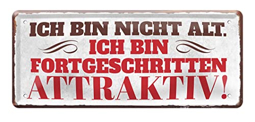 Ich bin nicht alt - Blechschild mit lustigen Spruch - witzige Metallschilder Deko für Wand oder Tür - Geschenkidee für Geburtstag Jubiläum oder einfach nur so - mit Befestigungsset - 28x12cm von helges-shop