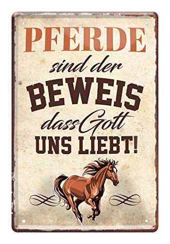 Pferde sind der Beweis - Metallschild mit witzigen Spruch für Reiterinnen und Reiter - Retro Deko Blechschild Reitstube Reiterstube Reiterhof - Geschenk Schild Pferdesport Springreiten - 20x30cm von helges-shop