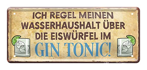 Retro Deko Gin Blechschild - witziges Schild für Gin Tonic Liebhaber - lustiges Deko Metallschild für Küche Kneipe Partyraum - Geschenkidee für Gin Genießer - Bar Zubehör Dekoration - 28x12cm von helges-shop