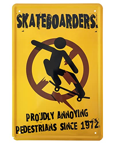 Skateboard Retro Deko Blechschild - Vintage Style Metallschild für Skateboarder - Skater Spruch für Garage Werkstatt Zimmer - 20x30cm von helges-shop