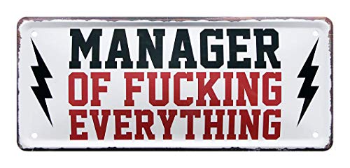 helges-shop Manager of f. Everything Blechschild - witziges Retro Deko Metallschild - Wanddeko oder Türdeko - Geschenkidee für Angestellte Chefs Hausmeister Mütter Väter Omas Opas für ALLE - 28x12cm von helges-shop