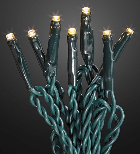hellum LED Lichterkette Außen mit Timer, 23,9m beleuchtet 240 LED, Lichterkette warmweiß mit Fernbedienung, strombetrieben mit Stecker, Weihnachtsbaumbeleuchtung mit Kabel in grün 577167 hellum LED Lichterkette Außen mit Timer, 23,9m beleuchtet 240 LED, Lichterkette warmweiß mit Fernbedienung, strombetrieben mit Stecker, Weihnachtsbaumbeleuchtung mit Kabel in grün 577167 von hellum