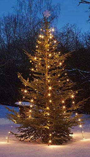 hellum Christbaumbeleuchtung für außen, 220 LEDs warmweiß, 10 Stränge mit Fixierung, Höhe 180cm, Weihnachtsbaum Lichterkette mit grünem Kabel, Zuleitung 5m, 577907 von hellum