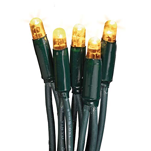 hellum LED Lichterkette Außen, verlängerbar Lichterkette mit Steckdose, Verlängerungs-Set ohne Netzkabel, 7,9m 80 LEDs warm-weiß, Kabel grün Weihnachtsbeleuchtung für Garten, Party 555042 von hellum