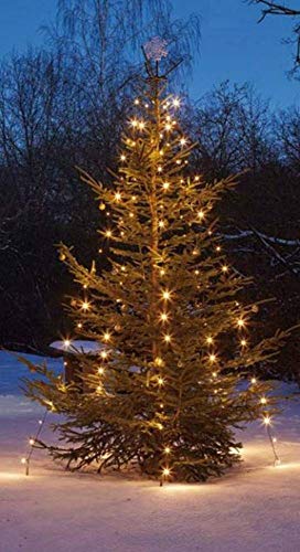 Hellum LED Christbaumbeleuchtung mit Ring, LED Weihnachtsbaumbeleuchtung Außen 10 Stränge x 2m, warmweiße Lichterkette Außen Weihnachten, Weihnachtsbaumdeko, 577891 von hellum
