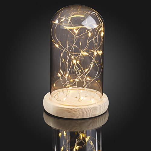 hellum Glasglocke mit Lichterkette warmweiß 30 LEDs, Glasglocke mit Holzboden Höhe 19,5cm Ø12cm, Glasglocke Deko batteriebetrieben (nicht inklusive) mit Timer Valentinstag Dekoration 523713 von hellum