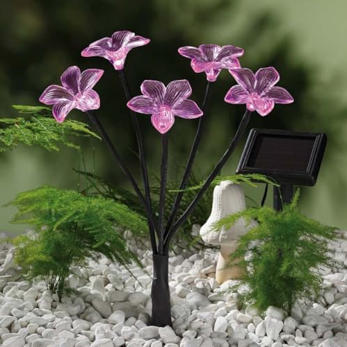 hellum LED solar Blumen mit 5 LED, Solarlampen für außen mit Blume, Blume solar mit Erdspieß, Solarlicht als Garten Licht, Solarbeleuchtung für außen 350135 hellum LED solar Blumen mit 5 LED, Solarlampen für außen mit Blume, Blume solar mit Erdspieß, Solarlicht als Garten Licht, Solarbeleuchtung für außen 350135 von hellum