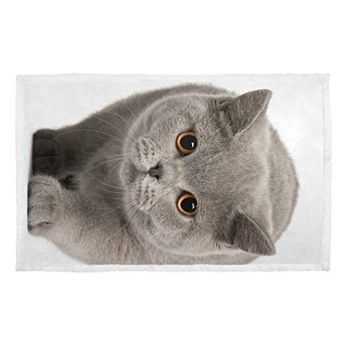 Hengpai Britische Kurzhaar-Kätzchen-Decke mit warmem Aufdruck, Haustierdecke für Katzen von hengpai