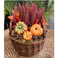 Herbstgesteck Mit Künstlichen Erika Und Kürbissen/ Herbstdeko/ Tischdeko/ Tischgesteck von herzAAllerlei