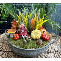 Herbstgesteck Mit Wichtelmädchen Und Kürbissen/ Herbstdeko/ Tischdeko/ Tischgesteck Herbstgesteck Mit Wichtelmädchen Und Kürbissen/ Herbstdeko/ Tischdeko/ Tischgesteck von herzAAllerlei
