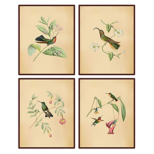 heshengzaixian Kunstdruck auf Leinwand, Motiv: Vögel im Vintage-Stil, Motiv: tropische Vögel, Blumen, Pflanzen, Illustration, Dekoration, Vogel-Kunstdruck, Poster, Geschenk für Vogelliebhaber, 4 Stück von heshengzaixian