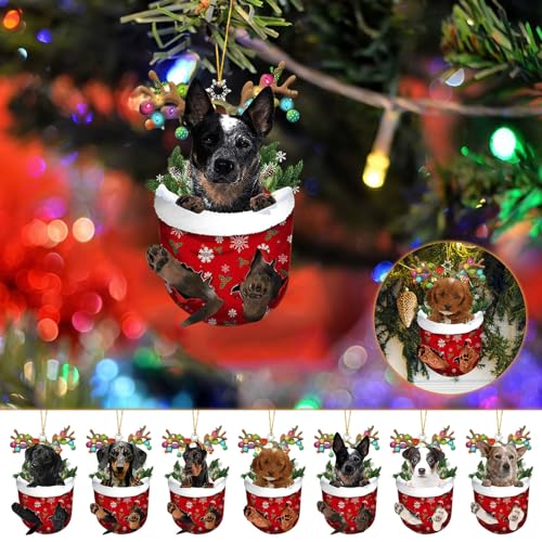 Weihnachtsbaumschmuck, Christbaumschmuck, Hund Weihnachtsanhänger aus Acryl, Weihnachtsdeko zum Aufhängen, Weihnachten Hängedeko für Christbaum oder Tannenbaum, Fenster und Tür (7 Stück) von hgerGWW