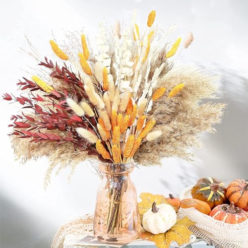 Herbst Pampasgras Dekor für Zuhause Weich Herbst Thanksgiving Tisch Boho Flauschige Trockenblumen Blumenstrauß Orange Herbst Pampasgras Dekor für Zuhause Weich Herbst Thanksgiving Tisch Boho Flauschige Trockenblumen Blumenstrauß Orange von hhdatc