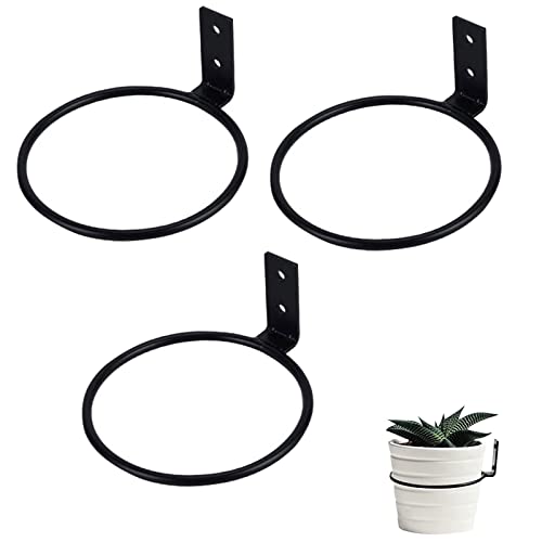 hifrom 3 Stück Wand Blumentopfhalter Ring Blumentopf Wandhalterung Outdoor Blumenkastenhalterung Pflanzenhalter Wand Kräuterregal Pflanzen Blumentopfhaken für Hausgarten Balkon Garten Balkon von hifrom