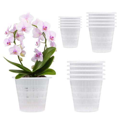 hifrom Orchideentopf Transparent Orchideentöpfe, Anzuchttöpfe Pflanzentöpfe Plastik, Kunststoff Pflanztöpfe Harte Orchideen Blumentöpfe Zimmerpflanzen Pflanzentopf für Drinnen (Transparent-15 Stück) hifrom Orchideentopf Transparent Orchideentöpfe, Anzuchttöpfe Pflanzentöpfe Plastik, Kunststoff Pflanztöpfe Harte Orchideen Blumentöpfe Zimmerpflanzen Pflanzentopf für Drinnen (Transparent-15 Stück) von hifrom