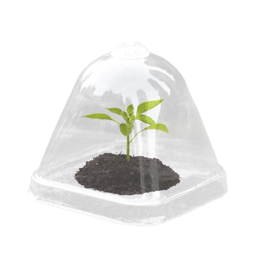 Gartenhauben Für Pflanzen - Transparente Pflanzenschutzhülle Als Gewächshausersatz,10 Teile Mini Töpfe mit Deckel für Feuchtigkeitsisolierung Regenschutz Anzucht Gewächshaus von higyee