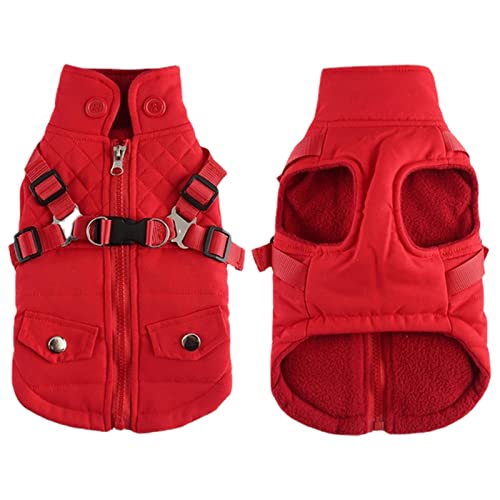 Gepolsterte Hundejacke – warme Hundejacke mit Reißverschluss mit Geschirr Wintermantel für kleine Hunde | warme Mäntel für kaltes Wetter mit Reißverschluss für Welpen Gepolsterte Hundejacke – warme Hundejacke mit Reißverschluss mit Geschirr Wintermantel für kleine Hunde | warme Mäntel für kaltes Wetter mit Reißverschluss für Welpen von higyee