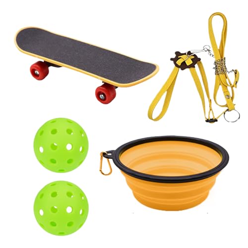 Schildkröten Skateboard | Schildkröten Leckerball mit Geschirr Skateboard | Haustierzubehör Süß Für Tagliches Training Drinnen Und Draußen Gehweg Park | Für Wasserschildkröten Kaninchen von higyee