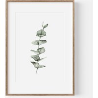 Print Eukalyptus | Kunstdruck Botanisch Bild Zweig A5 A4 von hipapeterie