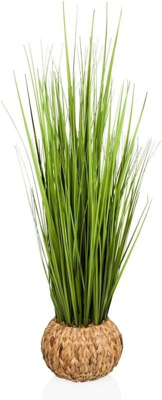 B-Ware Hjh Office Cortaderia Kunstpflanze Dekopflanze Pampasgras Natur B-Ware Hjh Office Cortaderia Kunstpflanze Dekopflanze Pampasgras Natur von hjh OFFICE