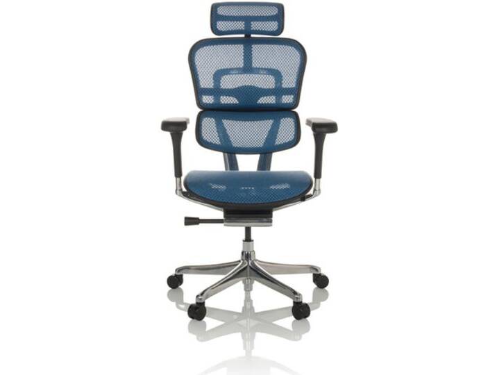 ERGOHUMAN GEN2 Netz - Luxus Chefsessel Blau von hjh-OFFICE