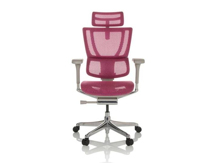 ERGOHUMAN SLIM G GEN2 Netz - Luxus Chefsessel Rosa ERGOHUMAN SLIM G GEN2 Netz - Luxus Chefsessel Rosa von hjh-OFFICE