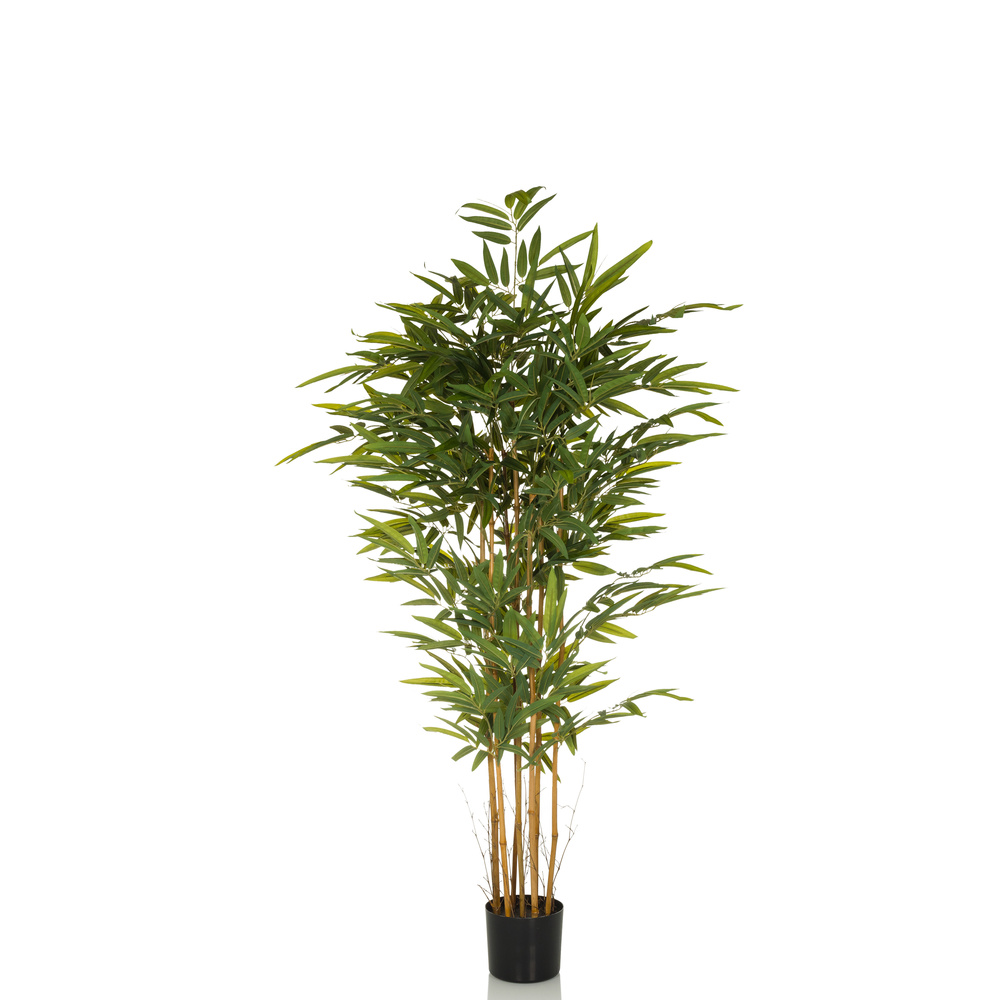 Hjh Office Bambus Ii Kunstpflanze Kunstbaum Kunstbepflanzung 150 Cm B-Ware Hjh Office Bambus Ii Kunstpflanze Kunstbaum Kunstbepflanzung 150 Cm B-Ware von hjh OFFICE