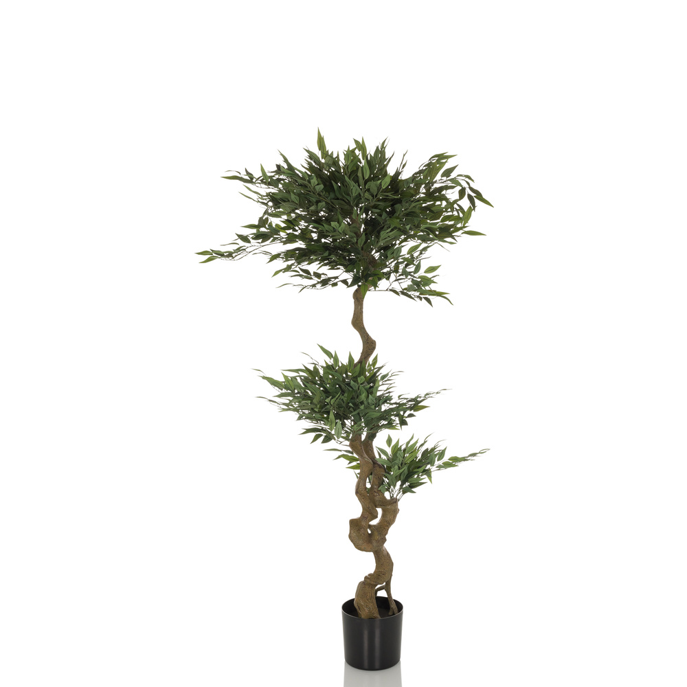Hjh Office Kunstpflanze Kunstbaum Acacia 155 Cm Grün Deko Dekopflanze Baum526 B-Ware Hjh Office Kunstpflanze Kunstbaum Acacia 155 Cm Grün Deko Dekopflanze Baum526 B-Ware von hjh OFFICE