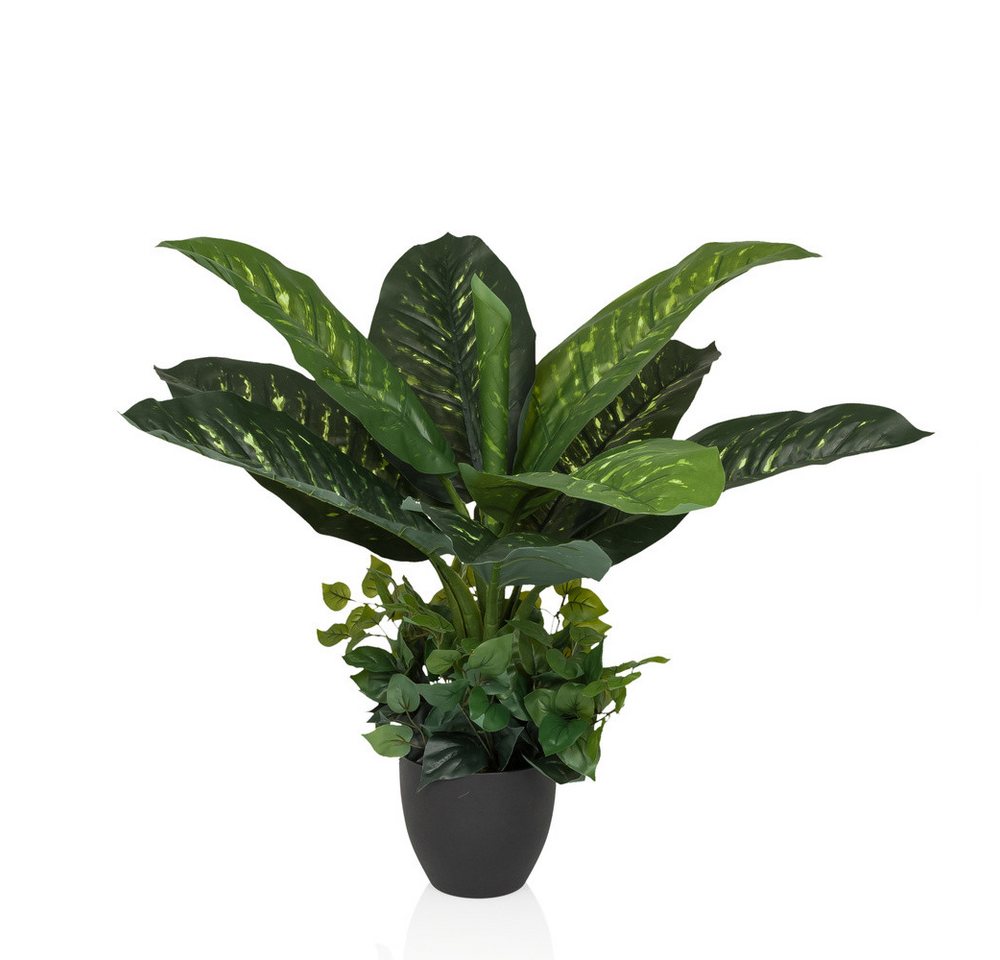 Kunstpflanze Kunstpflanze DIEFFENBACHIA Kunststoff Dieffenbachia, hjh OFFICE, Höhe 80.0 cm, Künstliche Pflanze Dieffenbachia, Schweigrohr, Leopard-Lilie Kunstpflanze Kunstpflanze DIEFFENBACHIA Kunststoff Dieffenbachia, hjh OFFICE, Höhe 80.0 cm, Künstliche Pflanze Dieffenbachia, Schweigrohr, Leopard-Lilie von hjh OFFICE