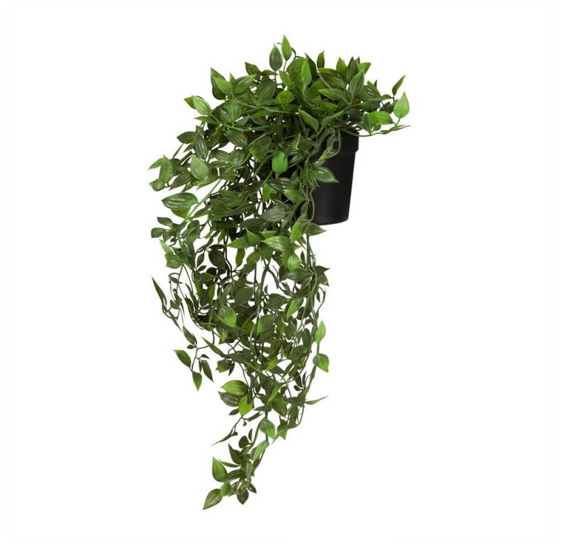 Kunstpflanze Kunstpflanze Epipremnum Climb Kunststoff Efeutute, hjh OFFICE, Höhe 20.0 cm, Künstliche Pflanze Hängepflanze Epipremnum, Efeutute im Topf Höhe 20cm Kunstpflanze Kunstpflanze Epipremnum Climb Kunststoff Efeutute, hjh OFFICE, Höhe 20.0 cm, Künstliche Pflanze Hängepflanze Epipremnum, Efeutute im Topf Höhe 20cm von hjh OFFICE