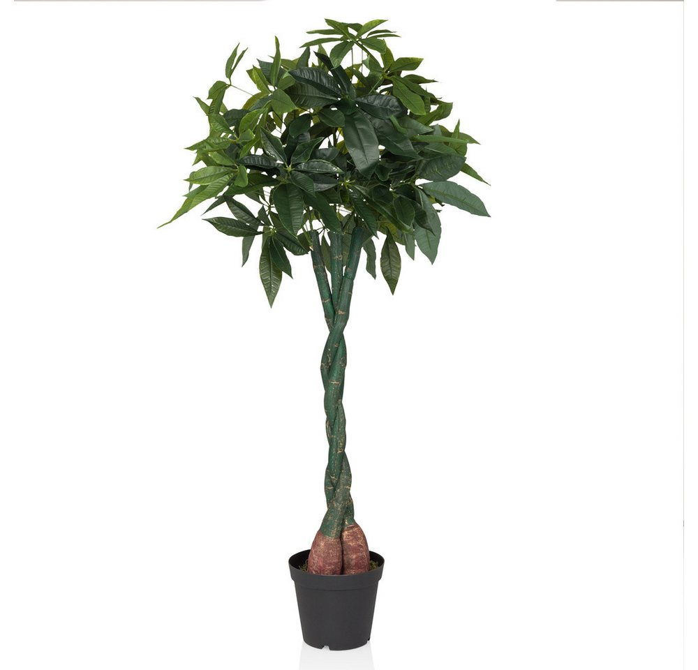 Kunstpflanze Kunstpflanze PACHIRA Kunststoff Philodendron, hjh OFFICE, Höhe 160.0 cm, Künstliche Pflanze Pachira aquatica, wilder Kakaobaum, Guyana Baum Kunstpflanze Kunstpflanze PACHIRA Kunststoff Philodendron, hjh OFFICE, Höhe 160.0 cm, Künstliche Pflanze Pachira aquatica, wilder Kakaobaum, Guyana Baum von hjh OFFICE