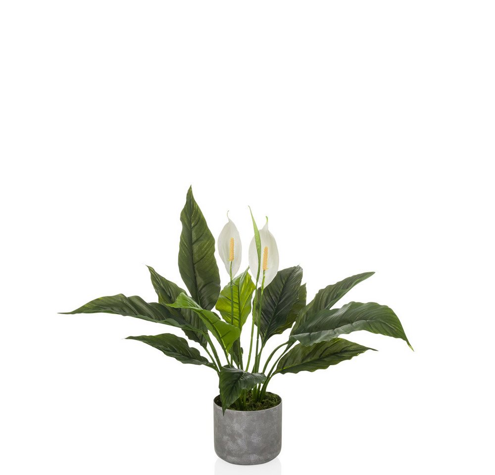 Kunstpflanze Kunstpflanze Spathiphyllum 1 Kunststoff Einblatt, hjh OFFICE, Höhe 60.0 cm, Zimmerpflanze, Einblatt mit weißen Blüten, Friedenslilie, Pothos von hjh OFFICE