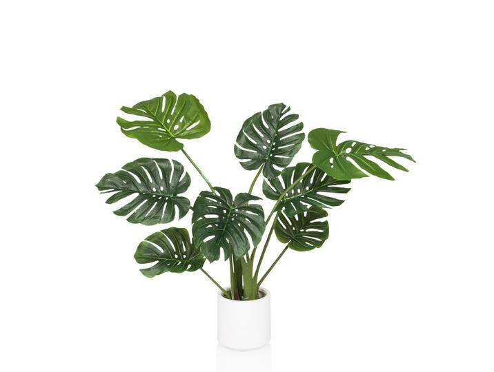 MONSTERA I - Kunstpflanze Grün von hjh-OFFICE