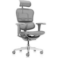 [NEUWERTIG] B-Ware Hjh Office Bürostuhl Chefsessel Stuhl Ergohuman Ultra G Gen2 Netzstoff Grau von hjh OFFICE