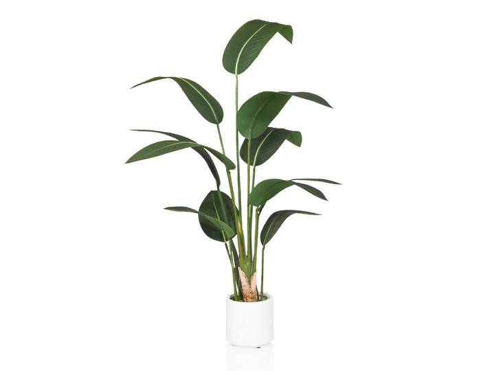 STRELITZIA - Kunstpflanze Grün von hjh-OFFICE