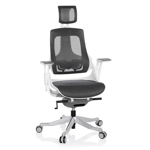 hjh OFFICE 640300 Profi Bürostuhl SPEKTRE Netz Weiß/Grau ergonomischer Drehstuhl mit Verstellbarer Rückenlehne von hjh OFFICE
