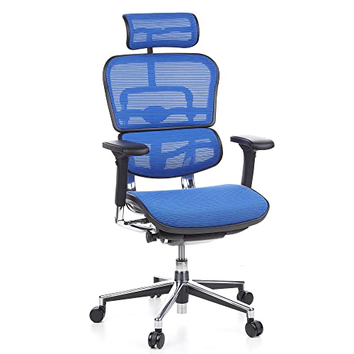 hjh OFFICE 652150 Profi Chefsessel ERGOHUMAN ergonomischer Bürostuhl mit Vollausstattung, Originales Design, Netzstoff Blau von hjh OFFICE